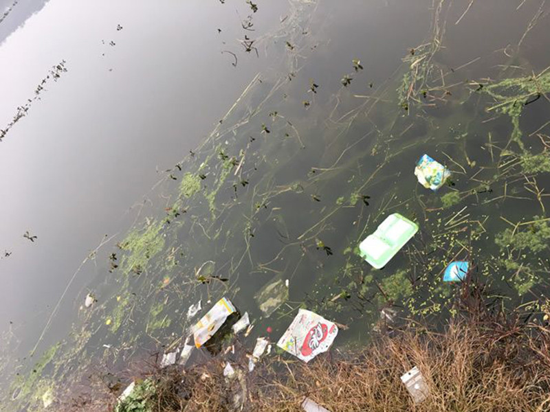 生物毒性检测仪测定受污染水体的急性毒性