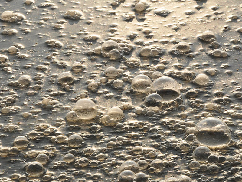 在线总氮监测仪可监测生活废水