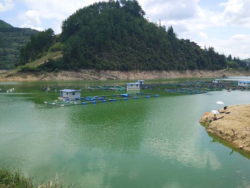 氨氮超标的解决方法