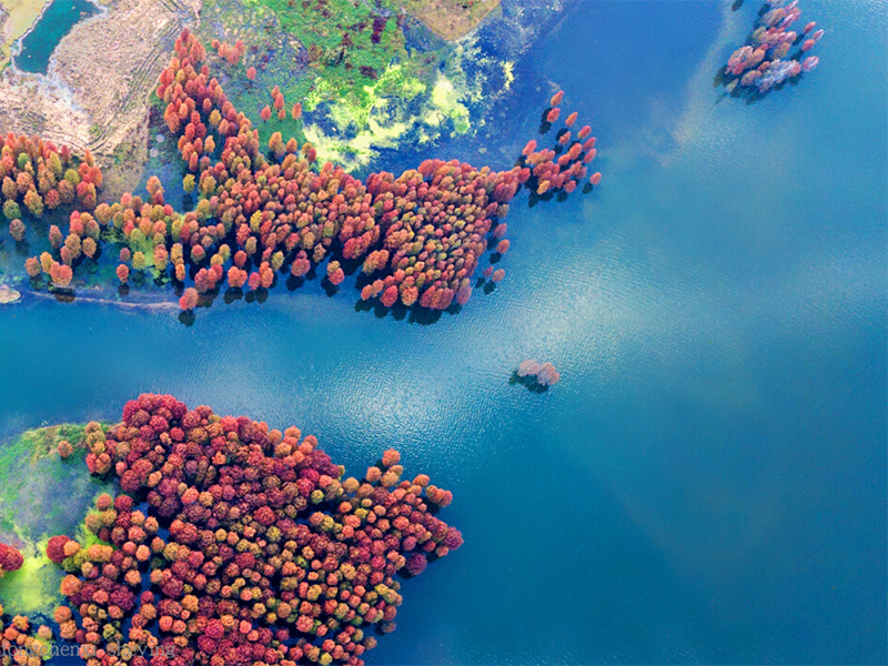 水质检测余氯