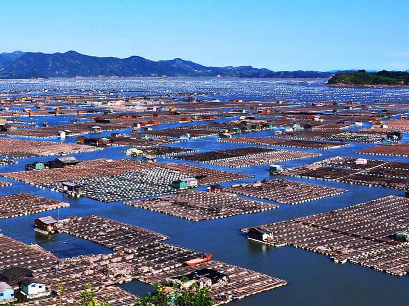 水产养殖二氧化氯使用方法