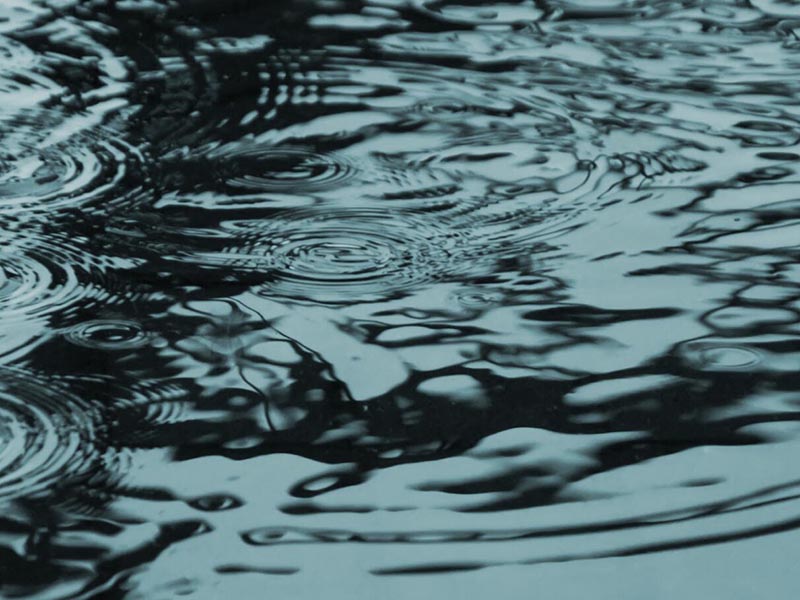 水质生物毒性检测技术介绍