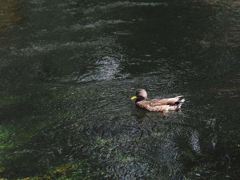 水质重金属检测设备哪种好