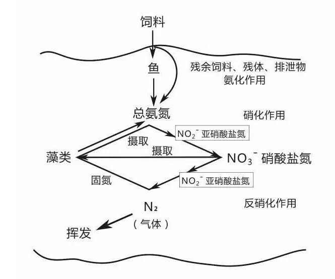 水产养殖常规水质指标的标准