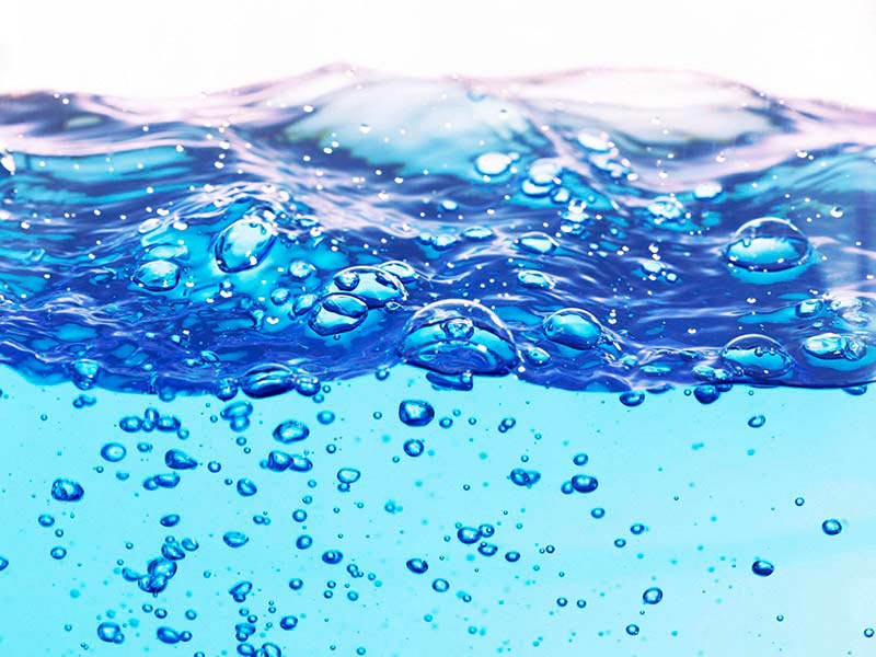 海洋生物水质基准推导技术指南解读