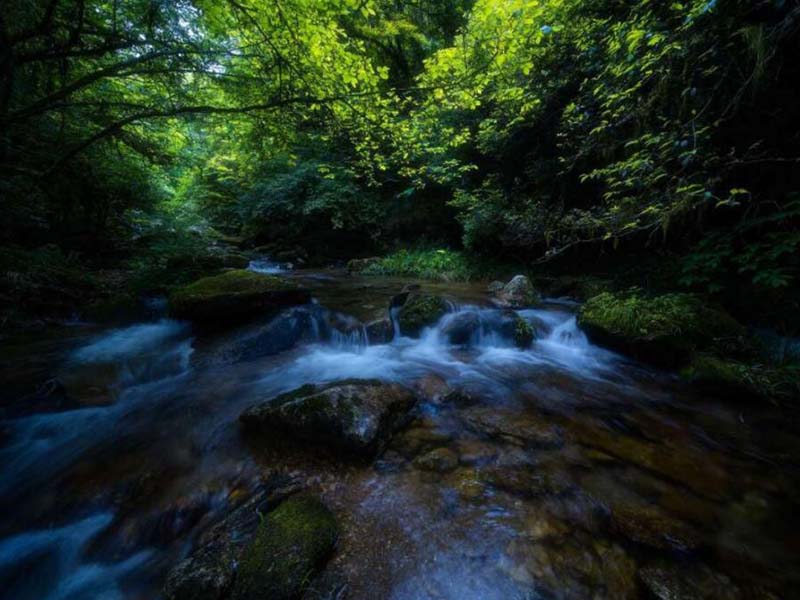 氨氮在线水质分析仪的优点