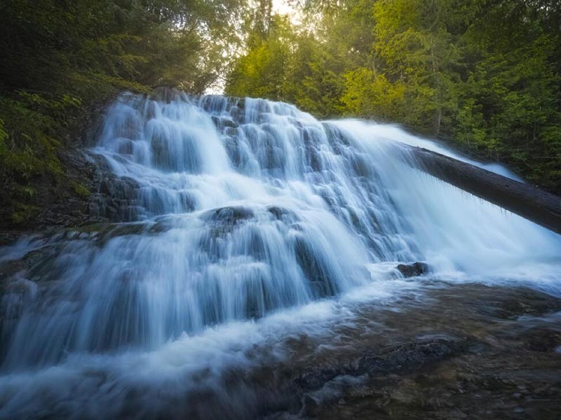 水质生物毒性检测仪应用的必要性