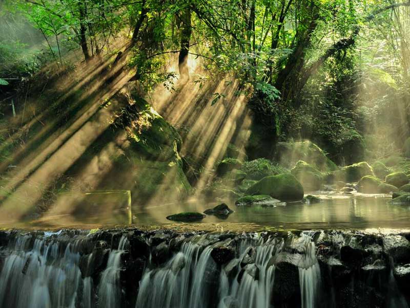 什么是氨氮
