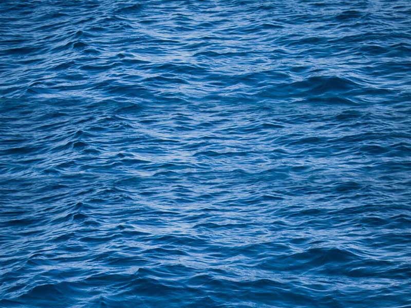 总氮快速检测仪有检测误差的原因