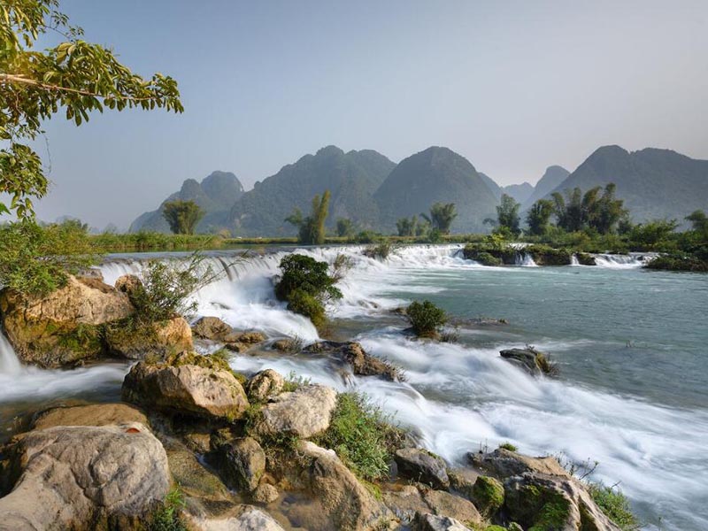 水质生物毒性在线监测仪原理