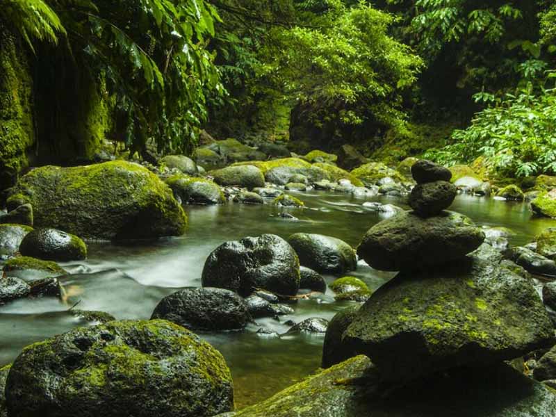 地表水叶绿素a测定仪原理