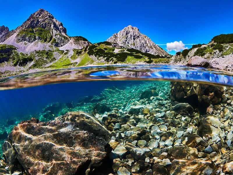 污水生物毒性检测标准