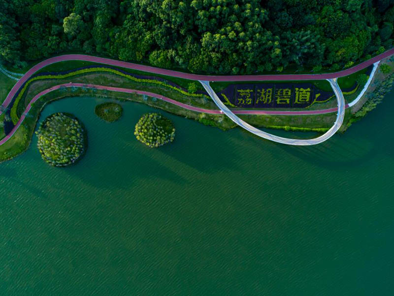 酶底物法检测粪大肠菌群的原理