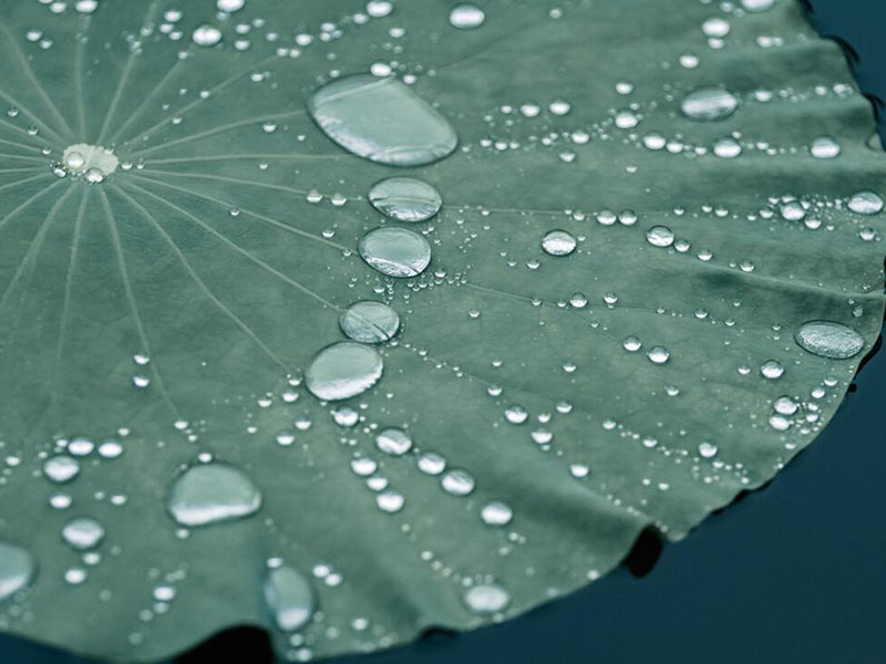 氨氮快速检测仪使用规范
