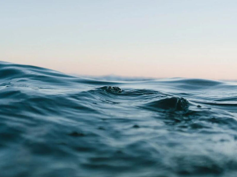 入海河流总氮管控现状
