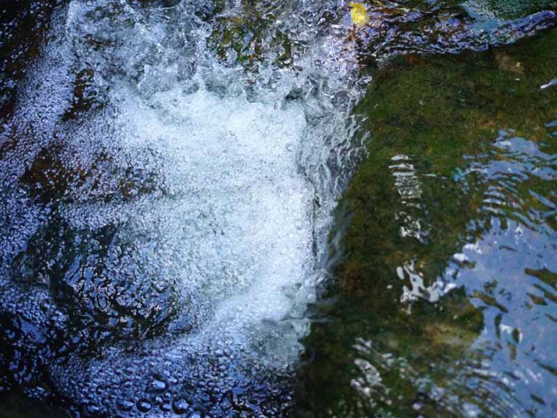 地下水动植物油监测方法及标准