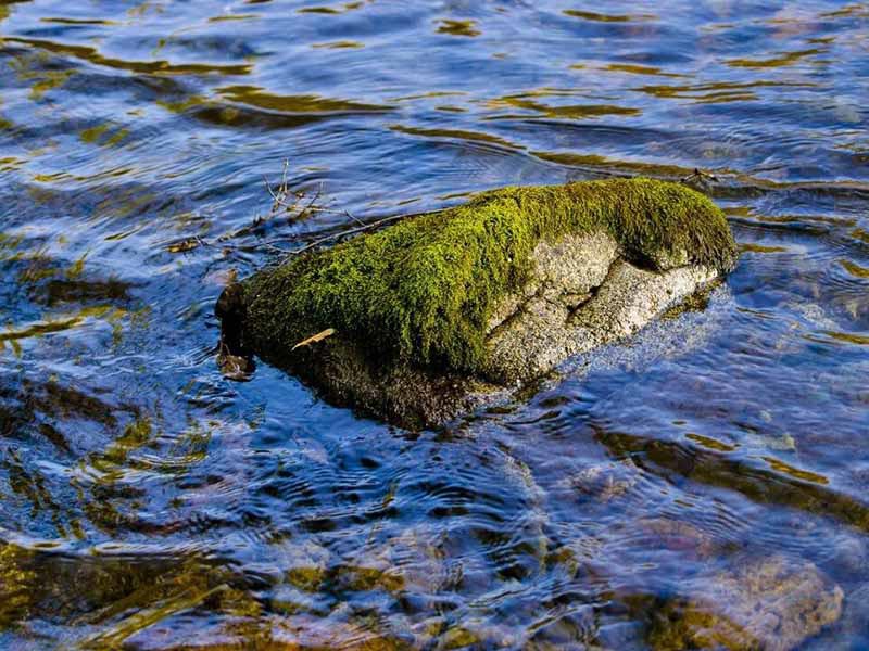 氨氮检测方法如何选择
