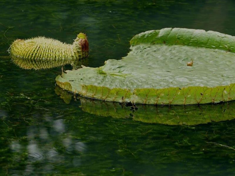 氨氮快速测定仪的使用规范