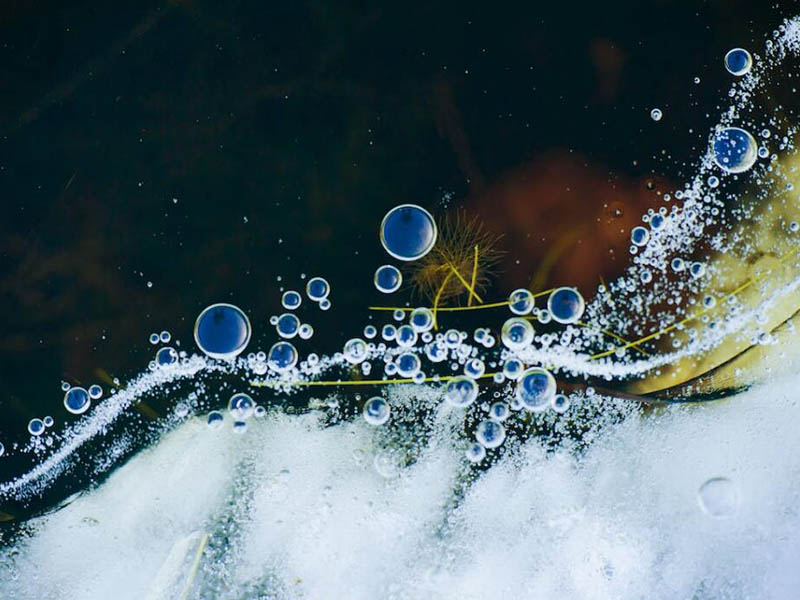 水质微生物检测基本原理（水质常规微生物检测指标有哪些）