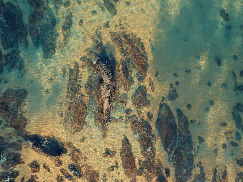 全自动红外测油仪原理