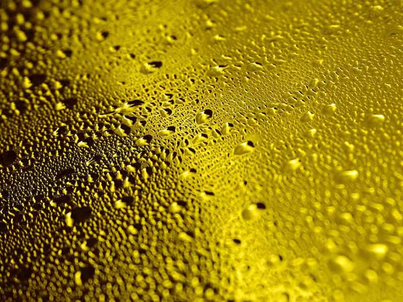 食用油酸价检测仪功能特点
