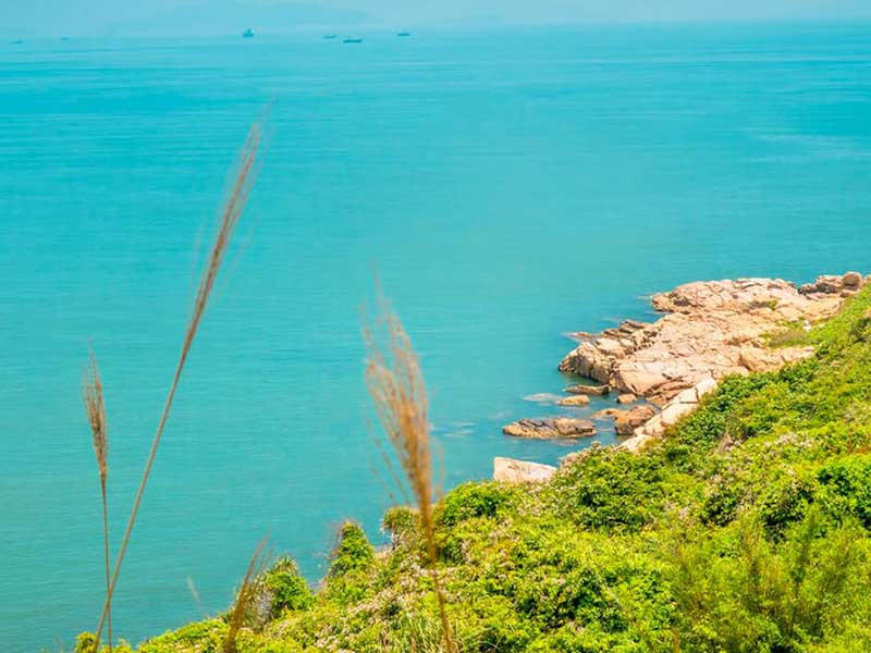 水质总磷检测仪原理