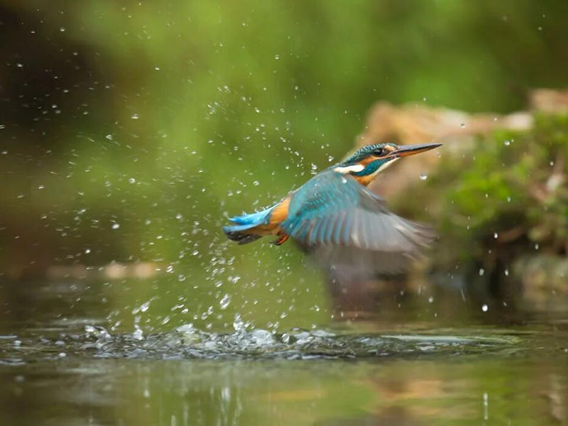 总氮测定仪工作原理