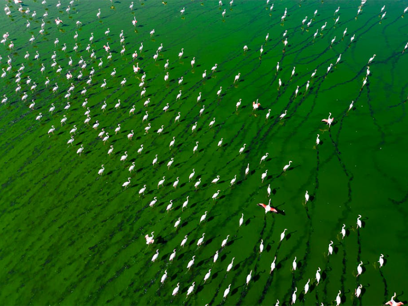 氨氮总氮检测仪类型