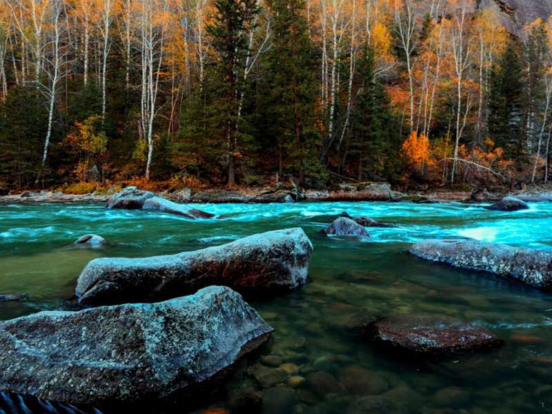 氨氮测定仪基本工作原理