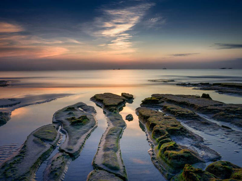 氨氮超标的危害有哪些