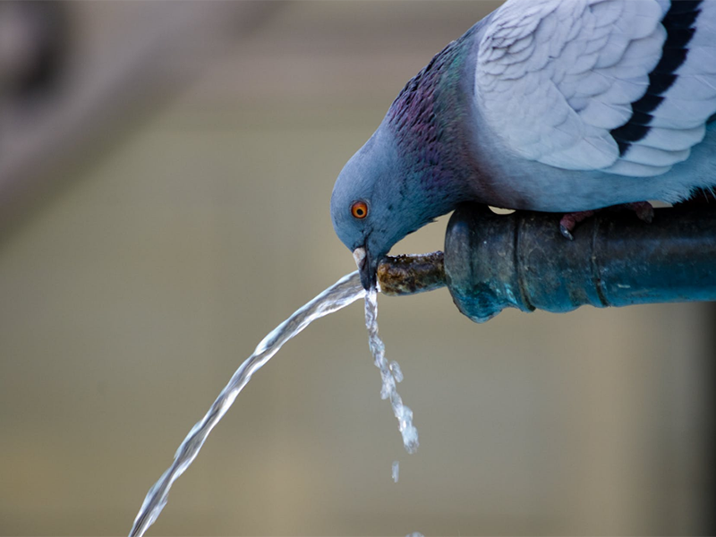 二次供水升级中水质监测设备的作用