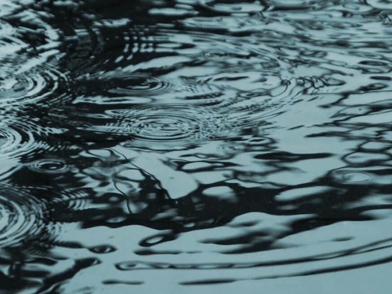 水质检测中常见金属元素及来源(金属元素的毒性机制)