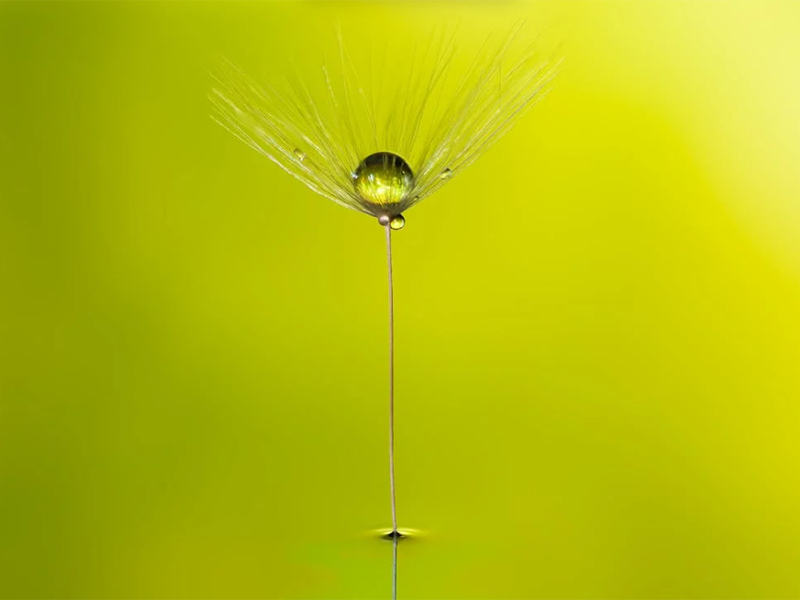 在线氨氮分析仪检定规程