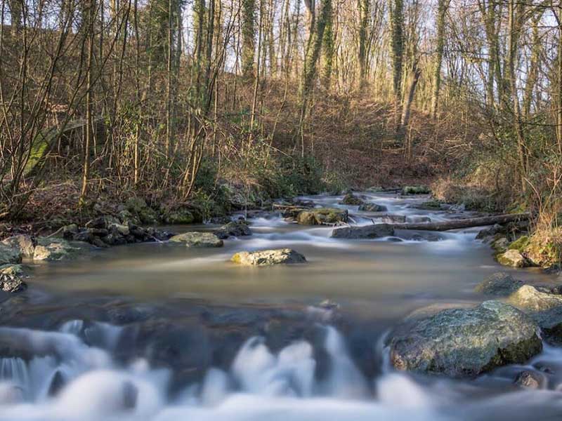 【案例】广州某企业人为干扰污水监测设施致数据失真，管理员获刑