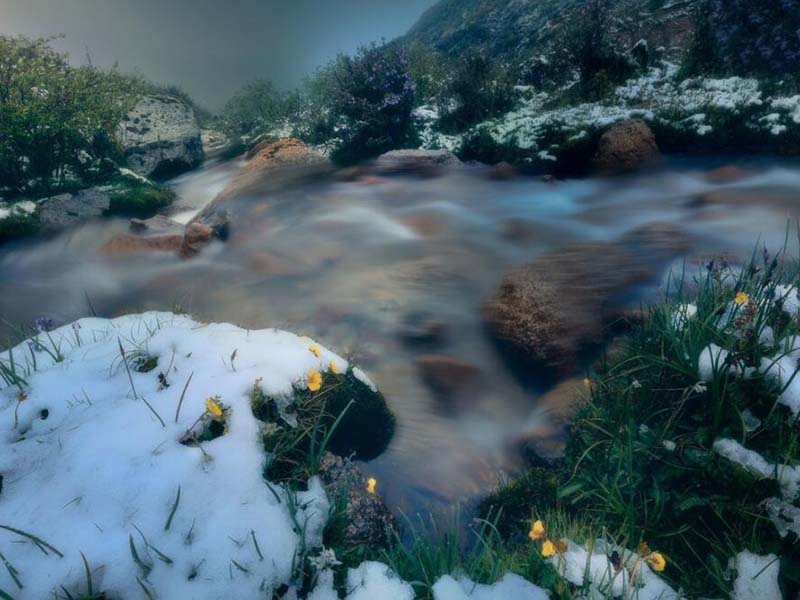 COD在污水厂的核心作用