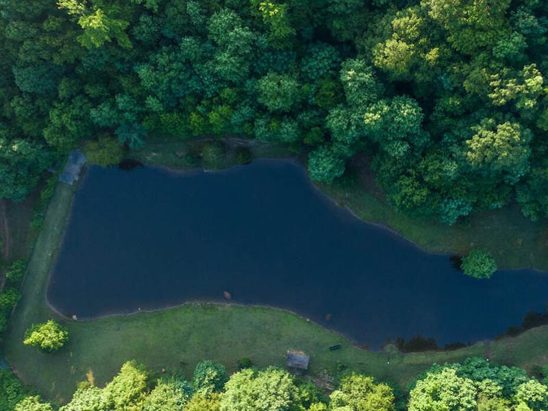 水质检测氨氮大于总氮是什么原因（氨氮与总氮的关系）
