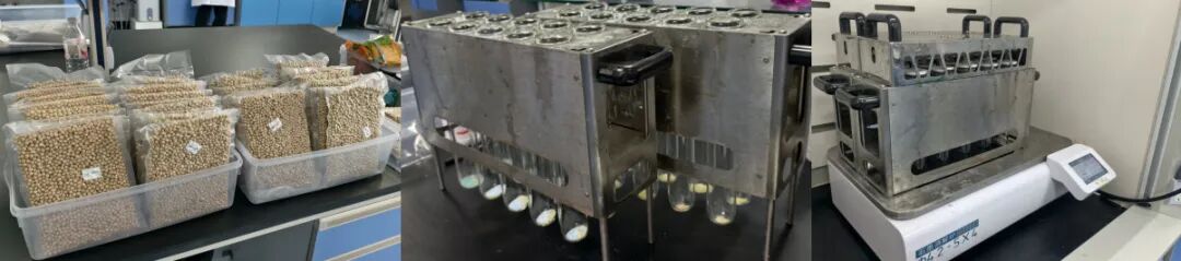 大豆及饲料原料蛋白质检测