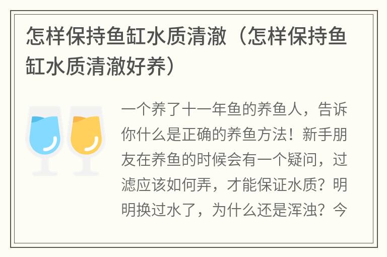 怎样保持鱼缸水质清澈（怎样保持鱼缸水质清澈好养）