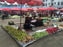 食品安全检测仪能检测什么食品？