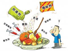 什么是食品添加剂，霍尔德食品添加剂检测仪