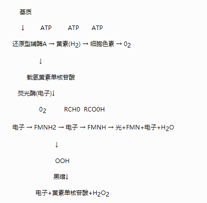 生物毒性检测仪的检测原理是什么