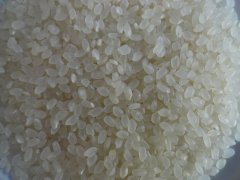大米重金属镉检测仪，可对样品进行快速检测