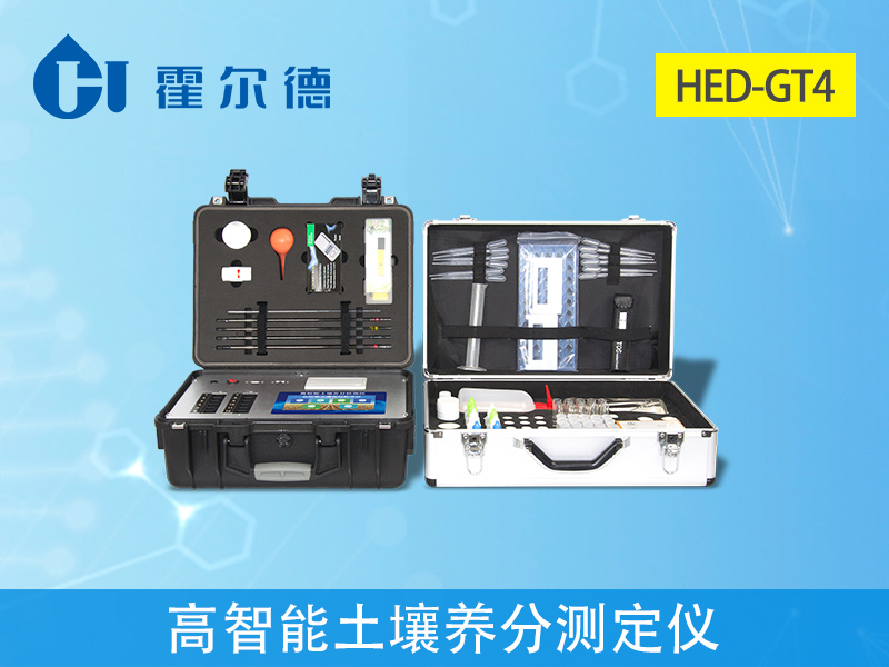 发财树的生长需要哪些因素