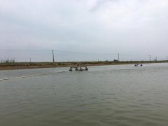 霍尔德便携式余氯检测仪，可提前预防养殖风险