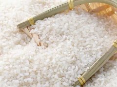 大米重金属镉检测仪，可实现重金属的快速定量检测分析