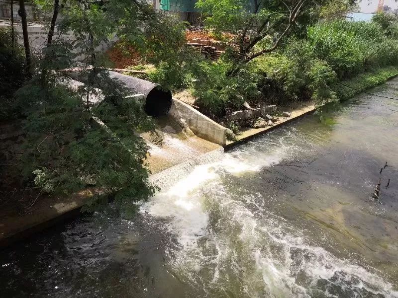 便携式余氯测定仪，可准确分析水体状况